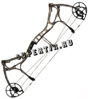 Bear MOTIVE 7 (RealTree)
